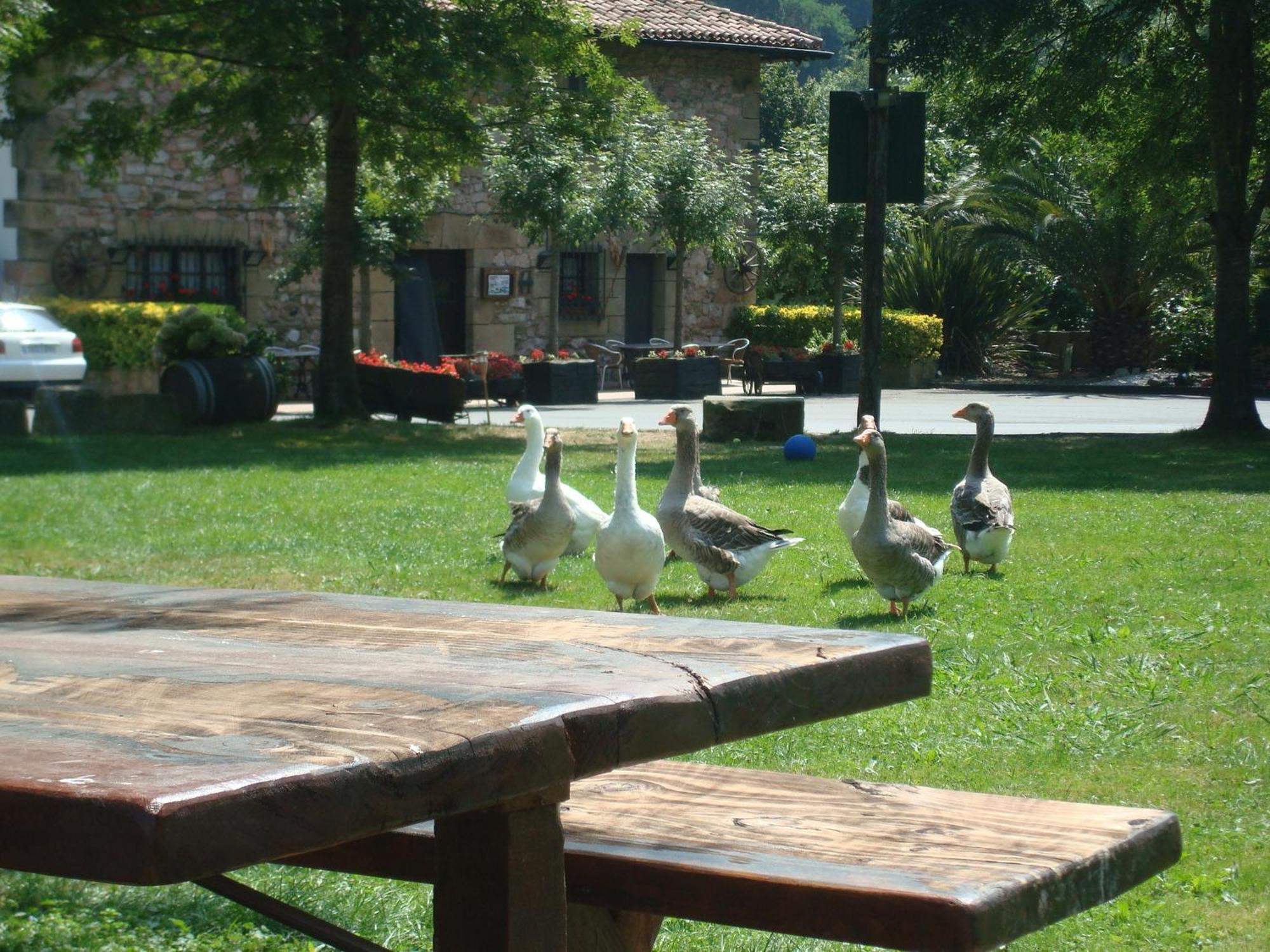 סומאיה Casa Rural Jesuskoa מראה חיצוני תמונה